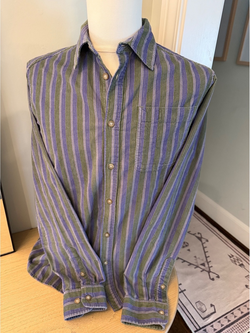 BDG Men's corduroy Medium Button-Up Shirt with Green and Purple Stripes